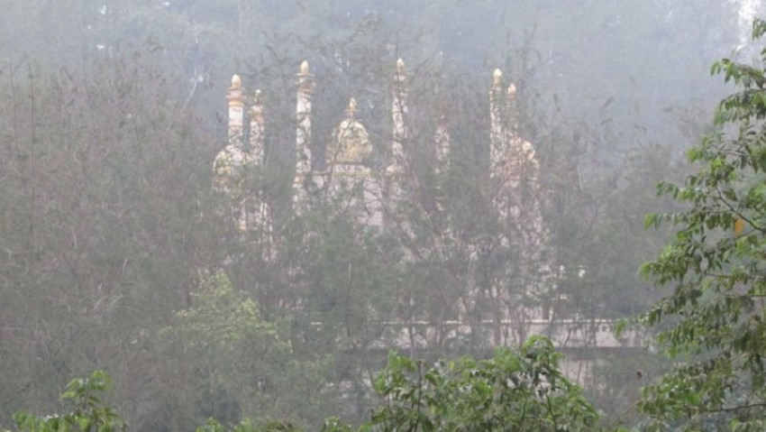 Penemuan Menggemparkan Dunia! Istana Dalam Hutan Seluas 5 Ha Ditemukan Di Jawa Timur