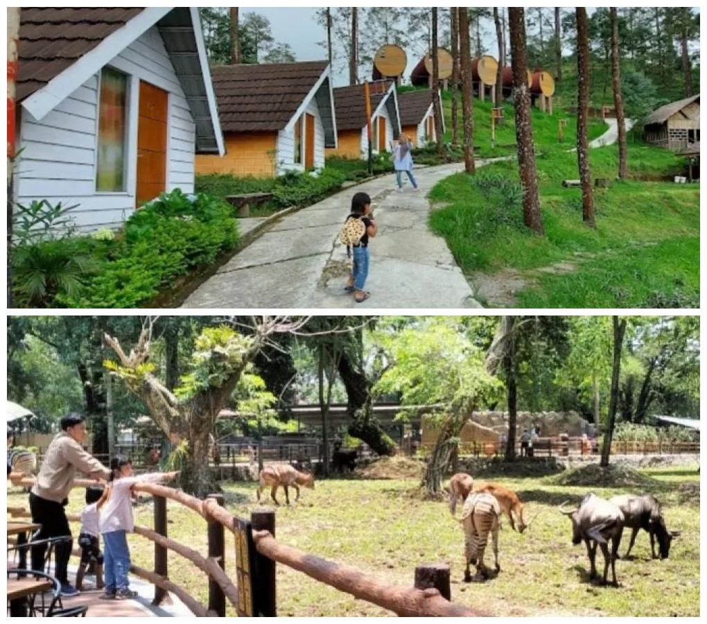 Liburan Keluarga di Kota Solo: 7 Tempat Wisata Seru yang Wajib Dikunjungi Akhir Pekan Ini