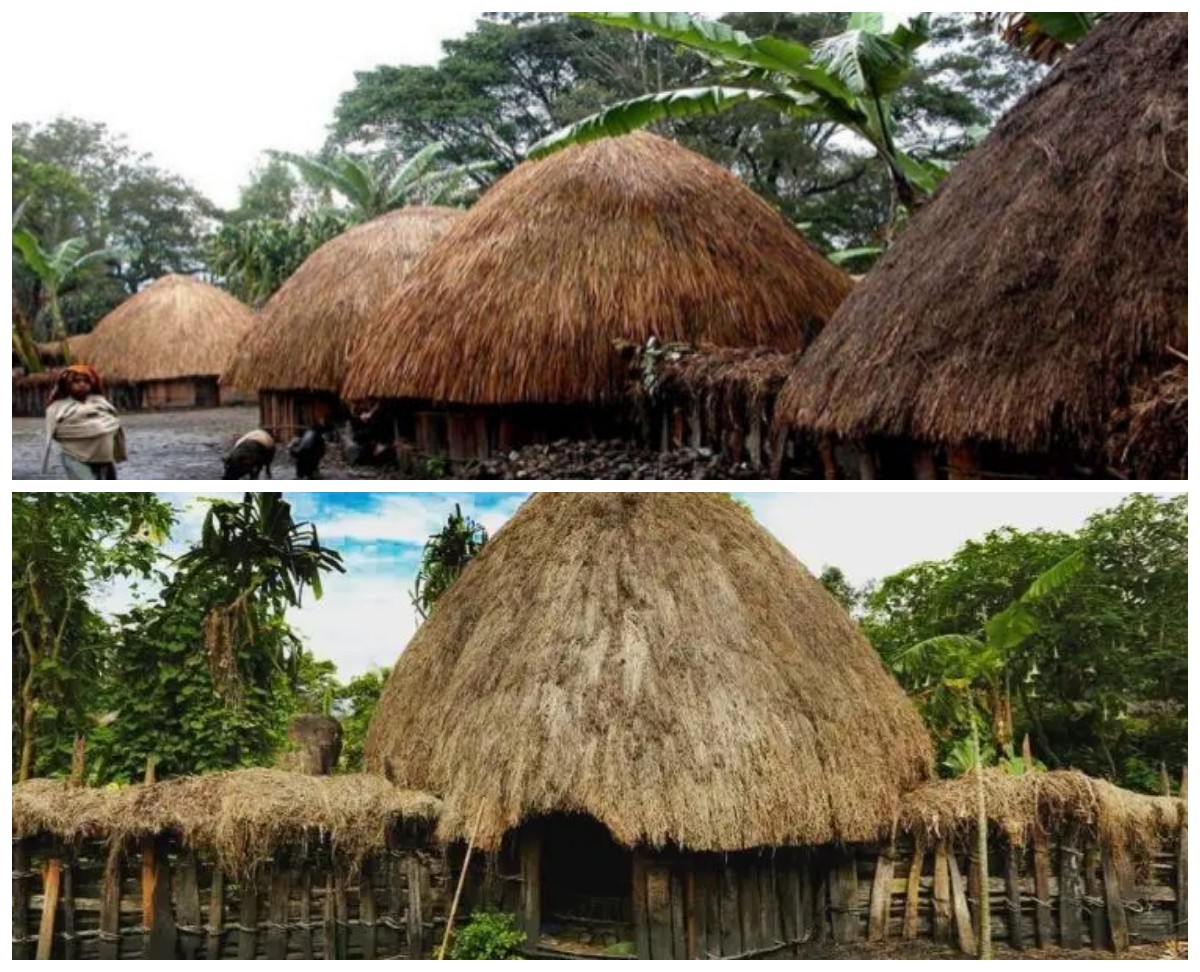 Menjelajahi Keberagaman Suku Papua! Salah Satunya Ada 3 Rumah Adat Khas Papua yang Unik dan Menarik 