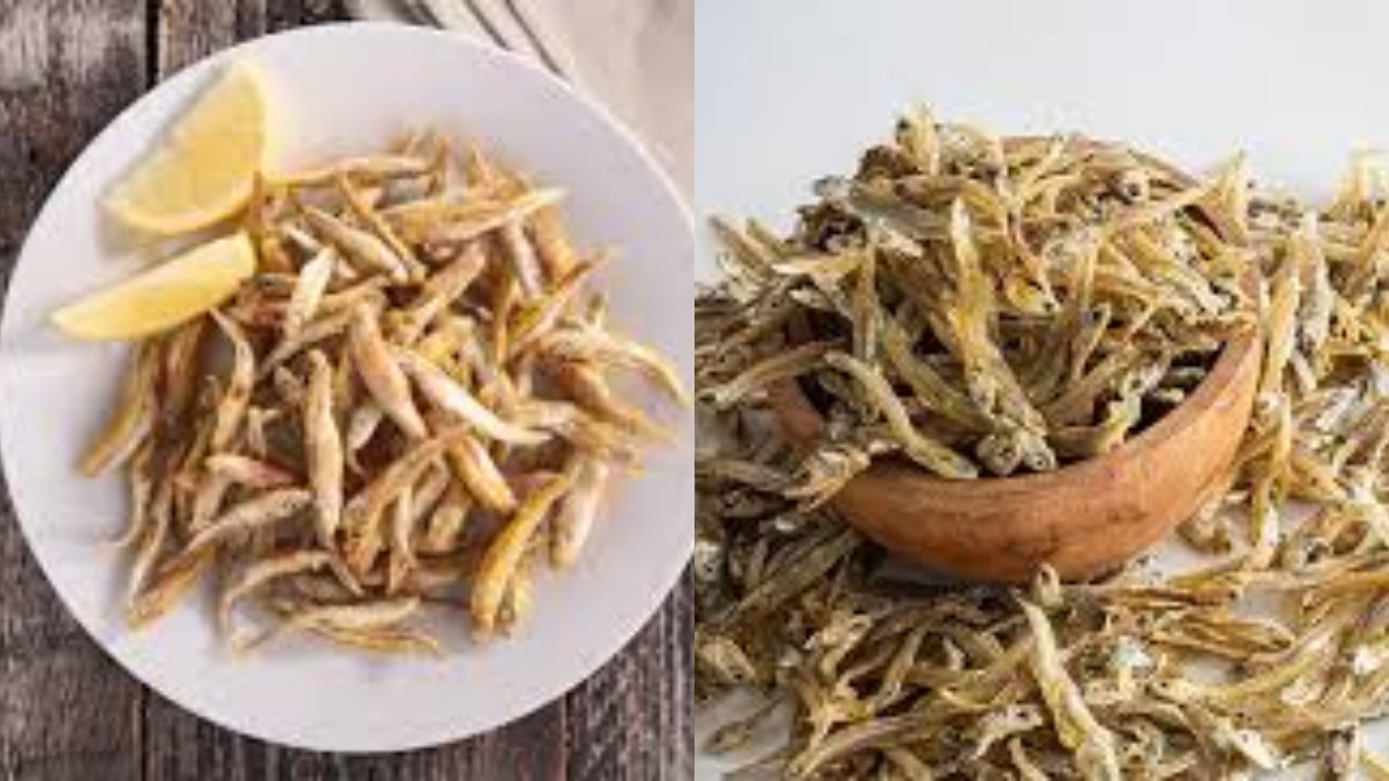 Rahasia Sehat dari Laut: Manfaat Ikan Teri Yang Jarang Diketahui