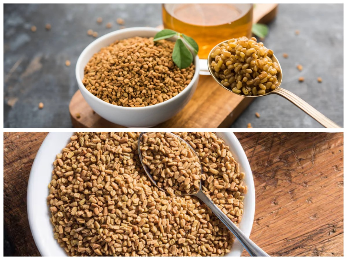 Fenugreek, Tanaman Ajaib Penurun Gula Darah: Manfaat Hebat untuk Penderita Diabetes