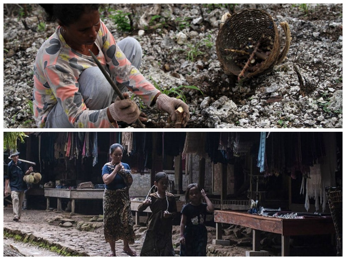Suku Padoe: Memahami Tradisi dan Kearifan Lokal Pedalaman Sulawesi