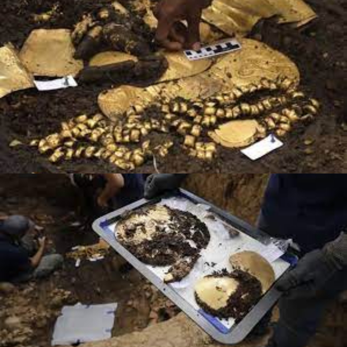 Bikin Geger! Arkeolog di Panama Temukan Harta Karun Emas di Makam 