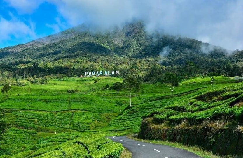 Bawa Nama Baik Pagaralam, Penuhi Semua Kriteria Penilaian, Lusapta Pimpin Persiapan Penilaian Desa Wisata