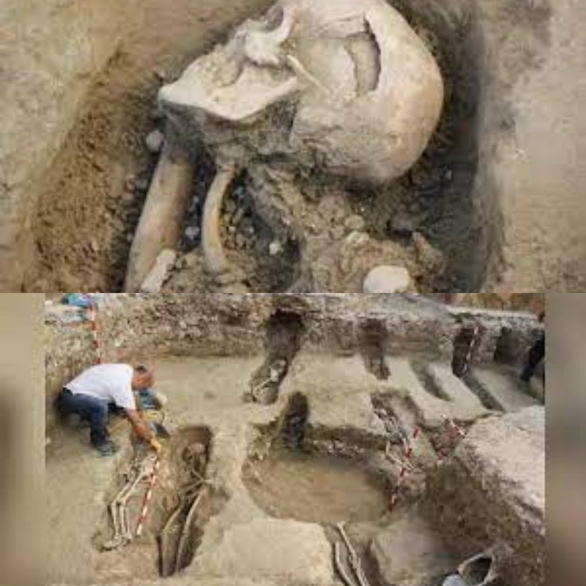 Temukan Kuburan Kuno! Arkeolog Ungkap Sejarah Muslim Spanyol yang Penuh Misteri 