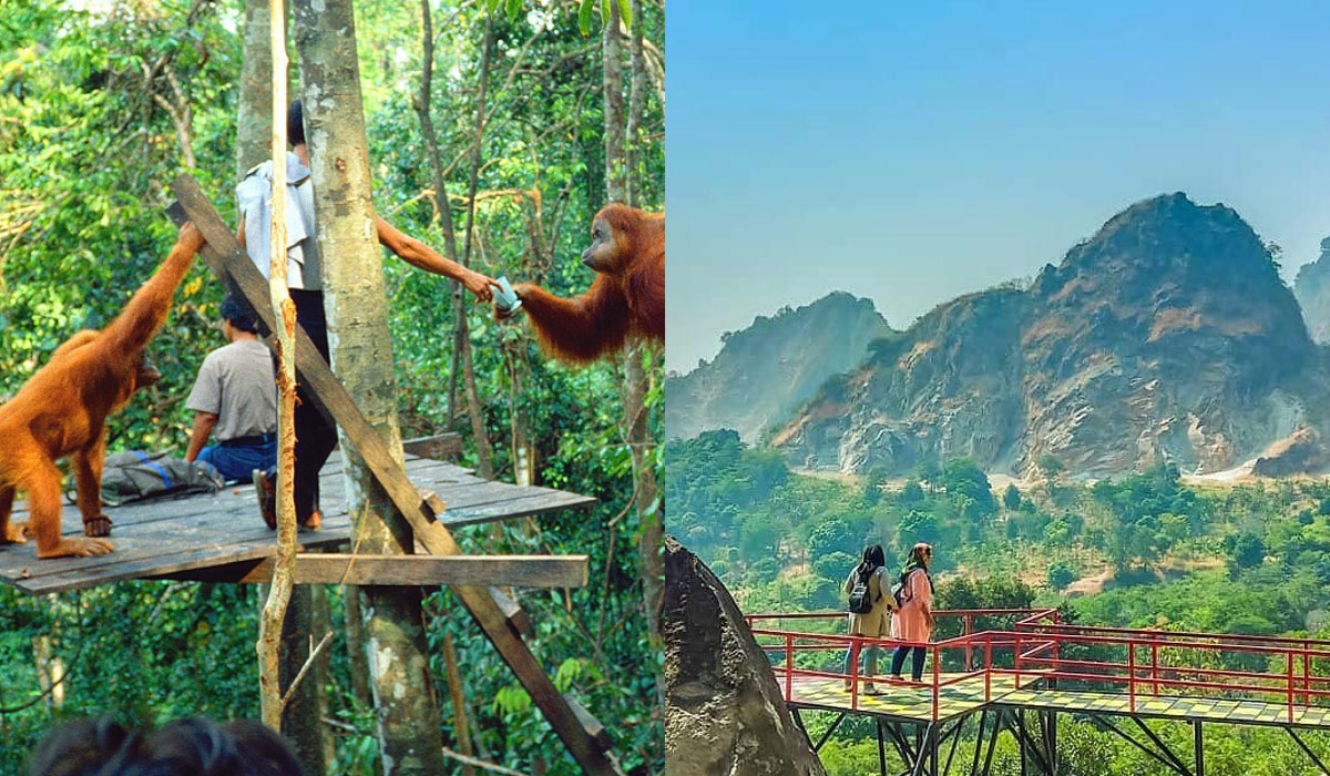 Mengungkap Sejarah Bukit Lawang, Pesona Simbol Perjuangan Masyarakat dan Alam yang Saling Menguatkan