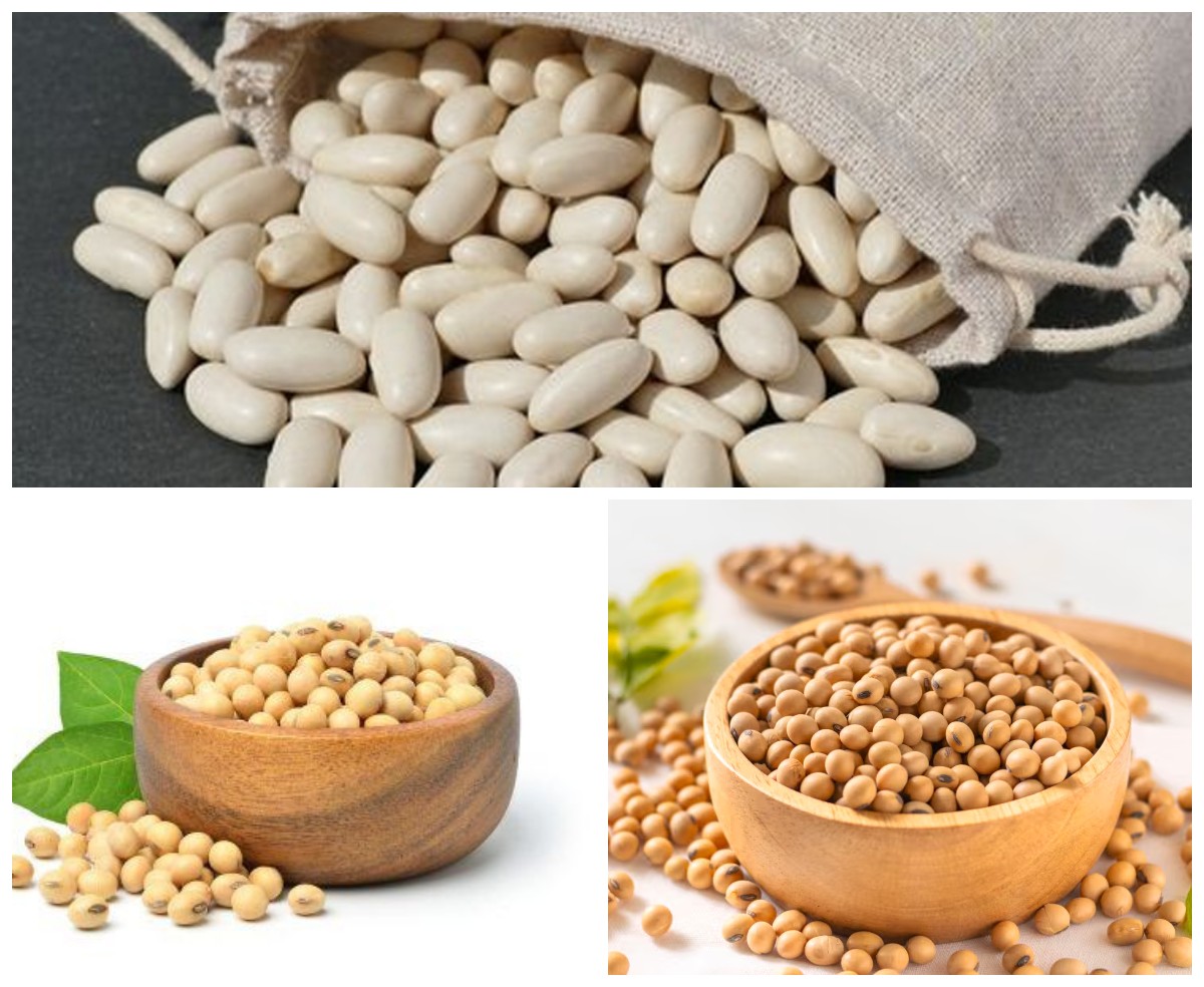 Manfaat dan Khasiat Kacang Lima, Kacang Lembut yang Tinggi Protein!