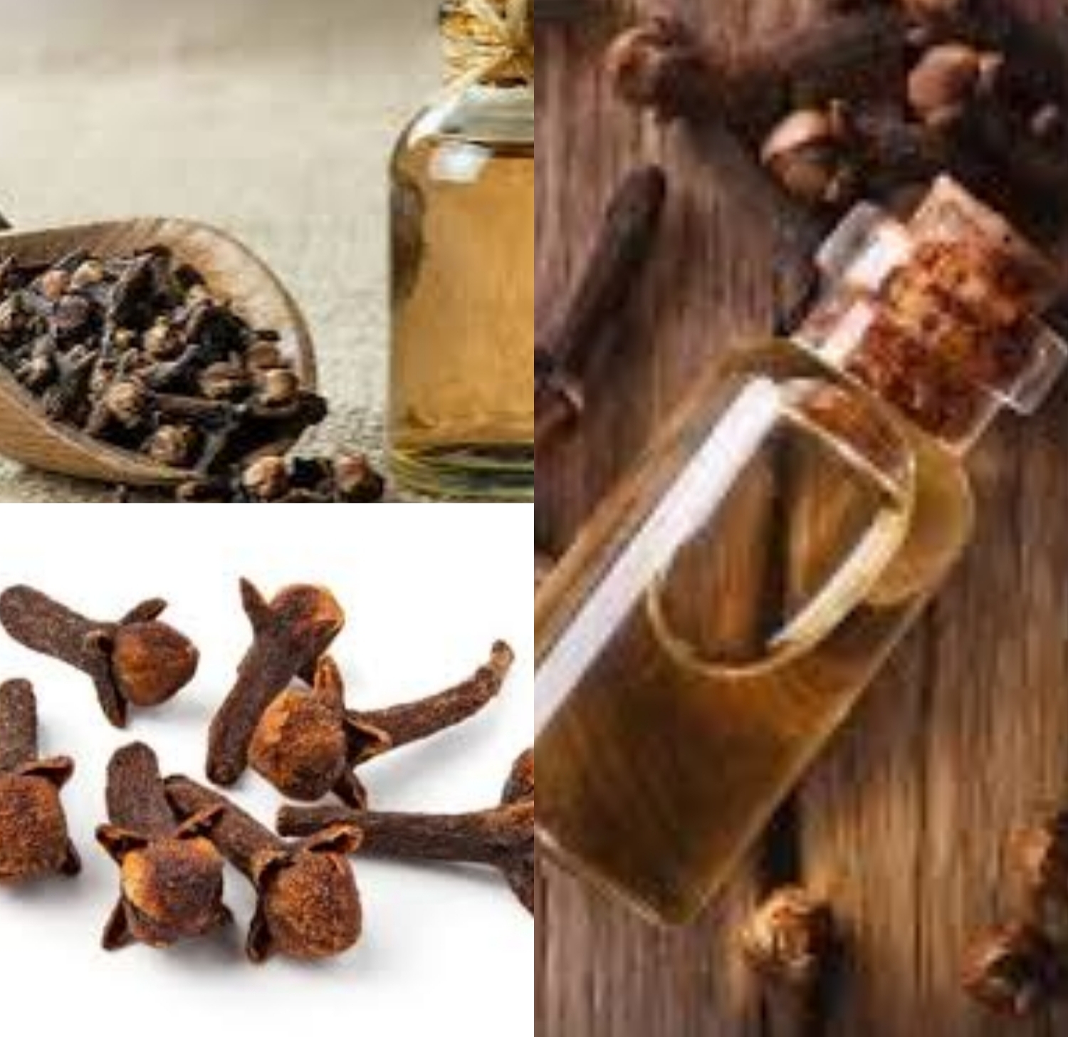 Manfaat Cengkeh untuk Meredakan Sakit Gigi dan Gusi, Lihat di Bawah Ini!