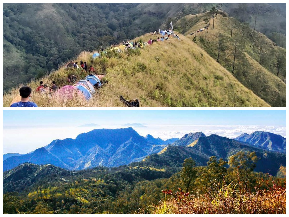 Mengungkap Jejak Legenda dan Aura Mistis Gunung Wilis: Sejarah dan Misteri di Balik Nama