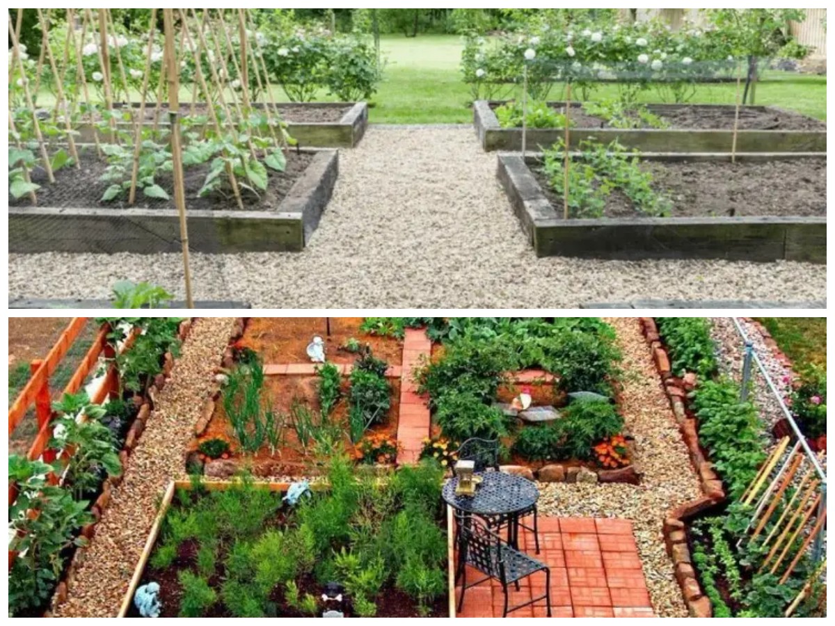 Lahan Terbatas Bukan Halangan! 8 Ide Kebun Sayur di Paving yang Subur dan Minim Kotor