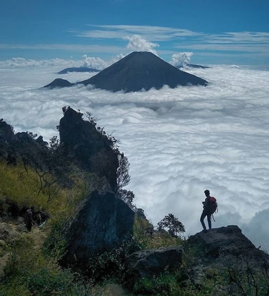 Sindoro, Misteri dan Mitos Dibalik Pesona Keindahan Gunung yang Berselimut 'Pedhut' Kabut