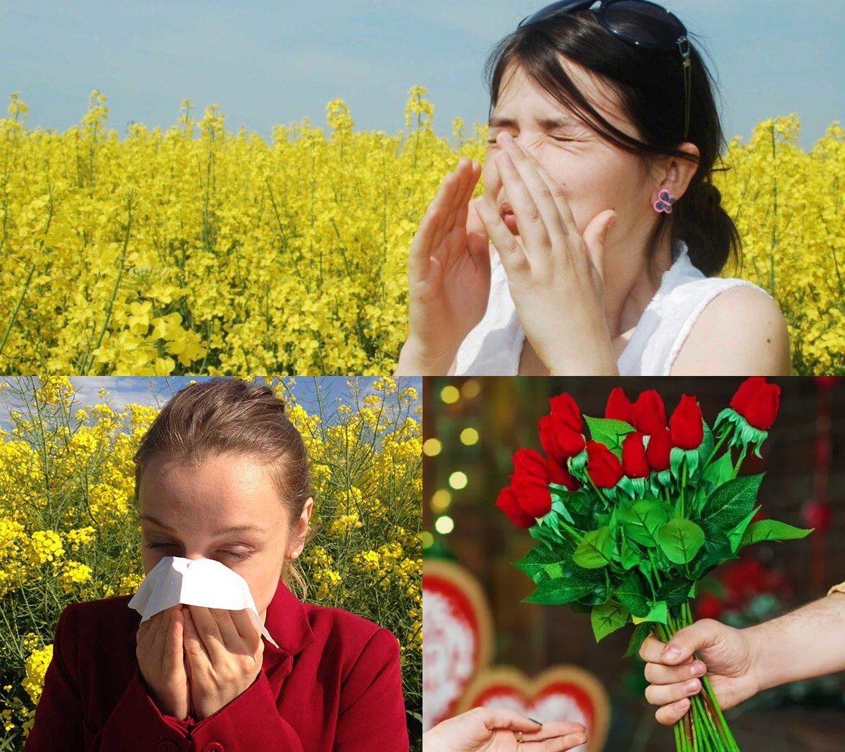 Alergi Serbuk Bunga, Inilah Penyebab, dan Tips Mengatasiya!