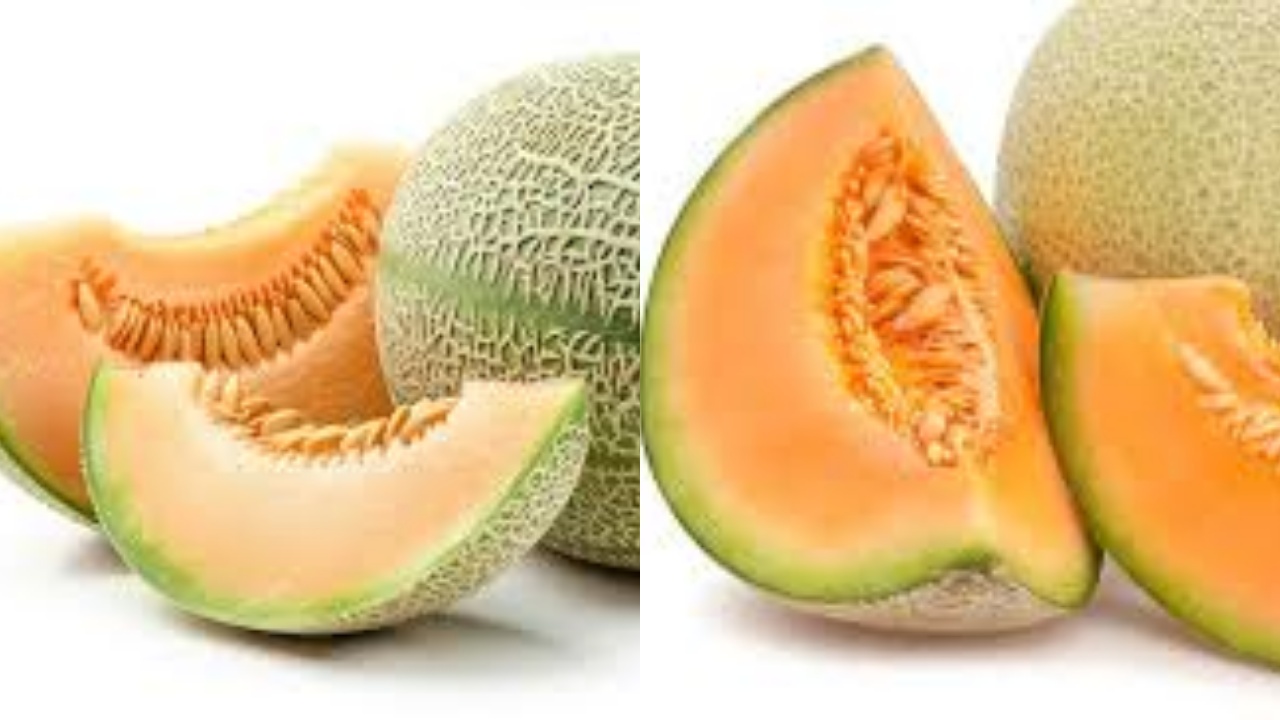 Lihat Disini! Manfaat Dari Buah Lemon Untuk Kesehatan Yang Jarang Diketahui