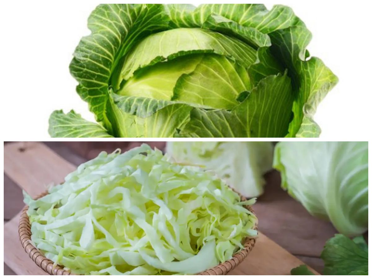 Manfaat Sayur Kol yang Wajib Kamu Tahu: Dari Penunjang Pencernaan hingga Pereda Peradangan