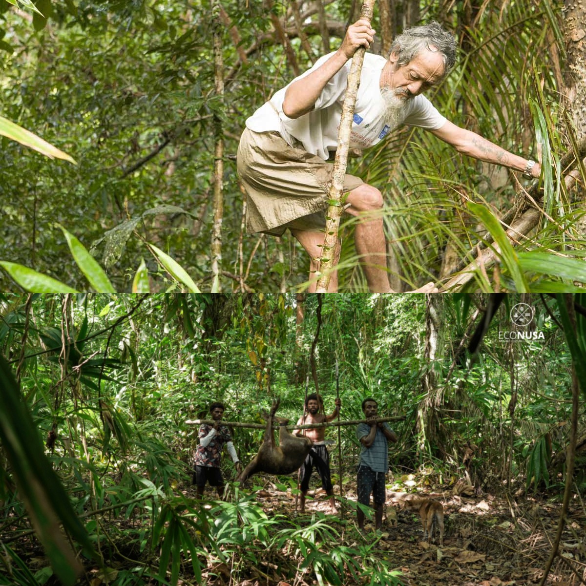 Lari ke Hutan untuk Hindari Pajak dan Kerja Paksa: Apa yang Terjadi pada Suku Limakawatina Sekarang?