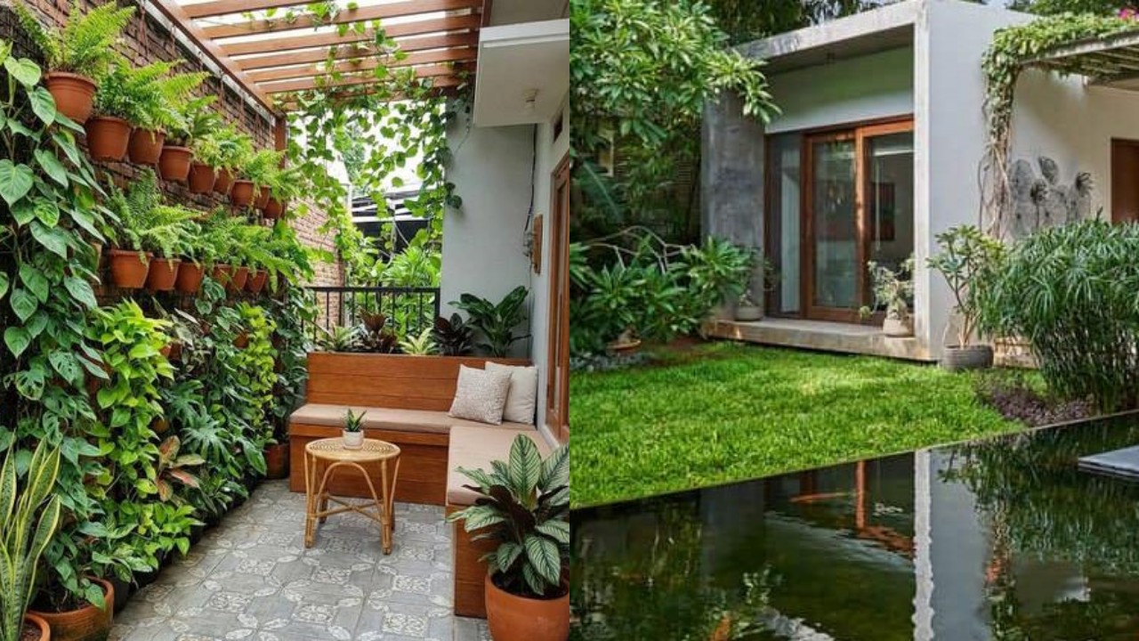 Desain Rumah Kecil dengan Area Hijau Mini agar Terasa Sejuk dan Nyaman!