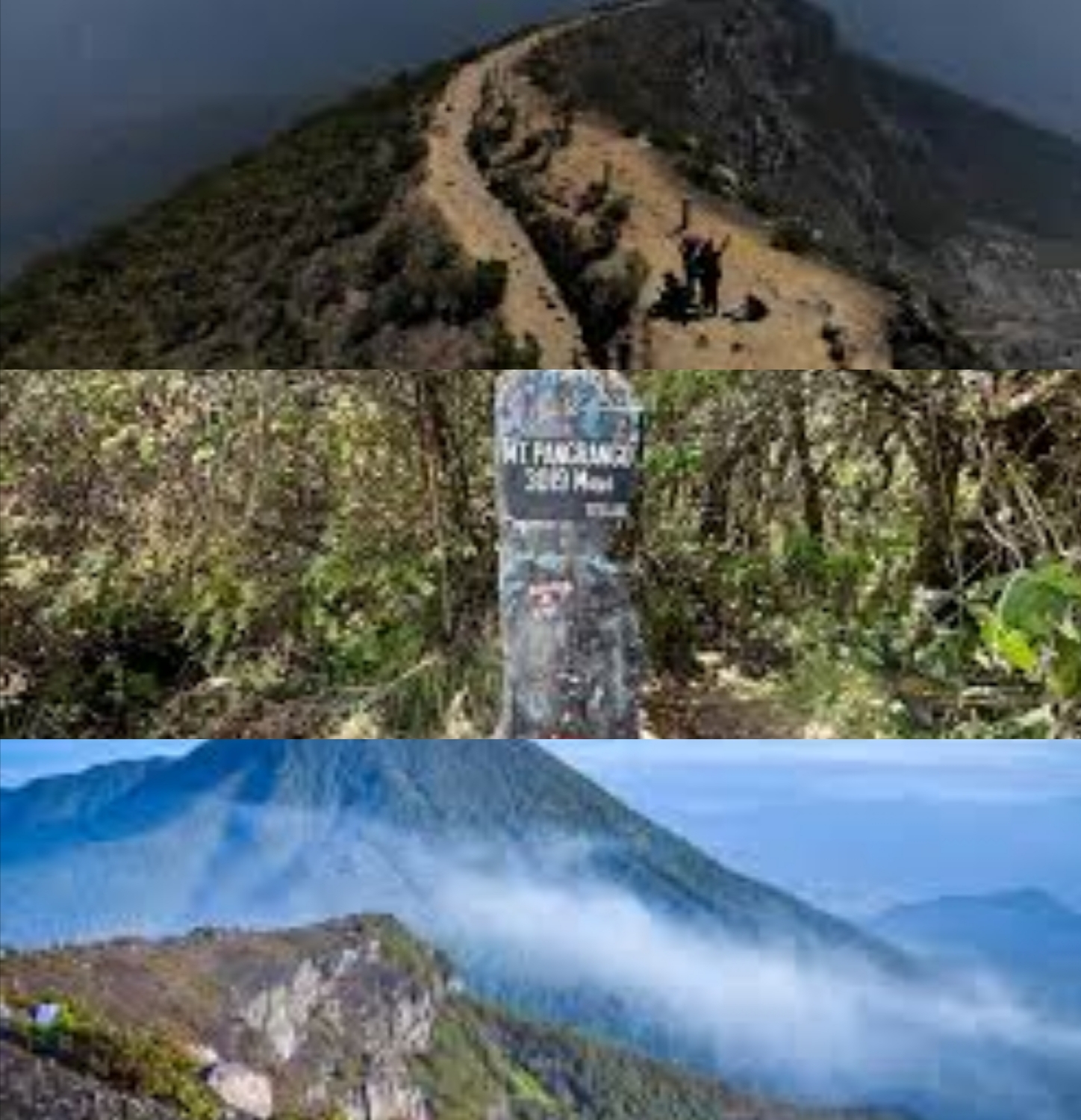 Keindahan Alam di Puncak Jawa Barat, Begini Misteri Gunung Pangrango