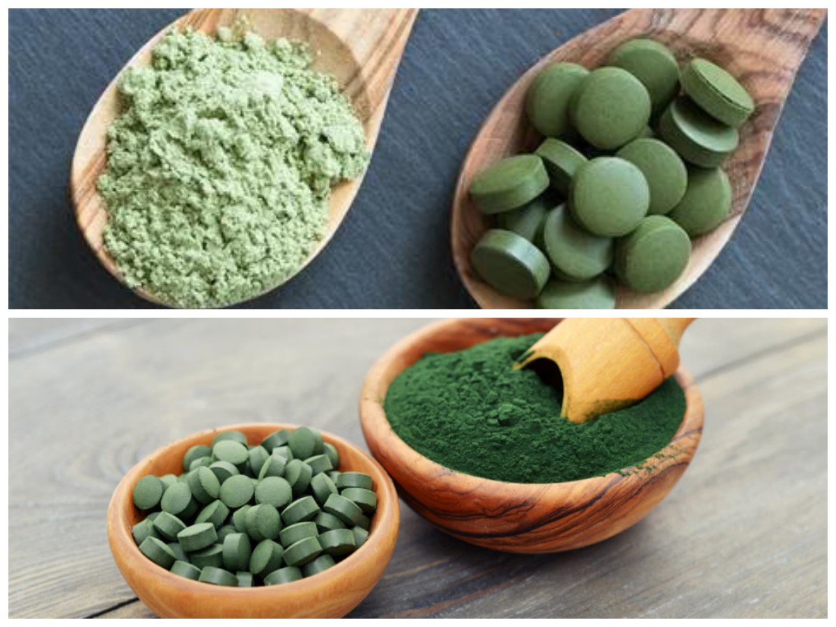 Chlorella, Superfood dari Ganggang Hijau: 8 Manfaat Kesehatan yang Wajib Diketahui