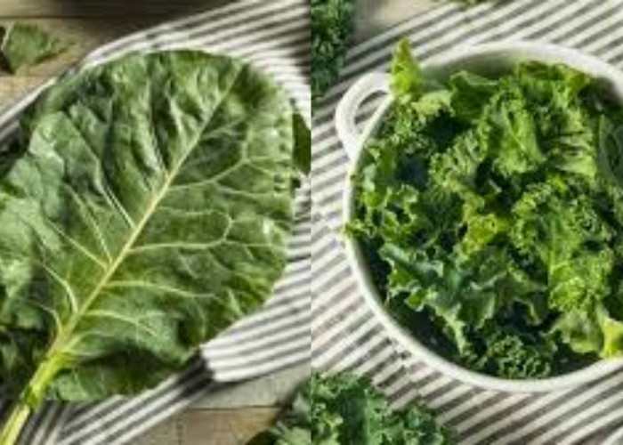 Mengenal Daun Kale: Sayuran Biasa Dengan Manfaat Luar Biasa