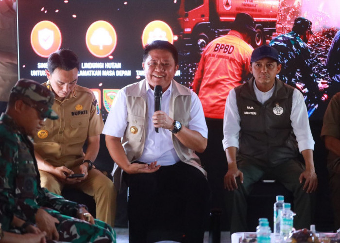 Dampak Asap Karhutla, Gubernur Serukan Puskesmas di Sumsel Siaga Layanan 24 Jam