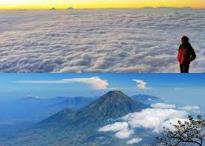 Menyusuri Keindahan Alam Gunung Slamet Puncak Tertinggi Kedua di Pulau Jawa 