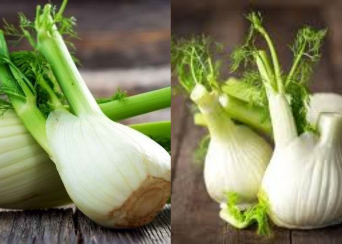 Aneka Manfaat Adas untuk Kesehatan, dari Pencernaan Lancar hingga Jantung Sehat!