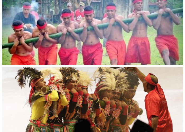 Bambu Gila: Jejak Sakral Tradisi Mistis dari Kepulauan Maluku