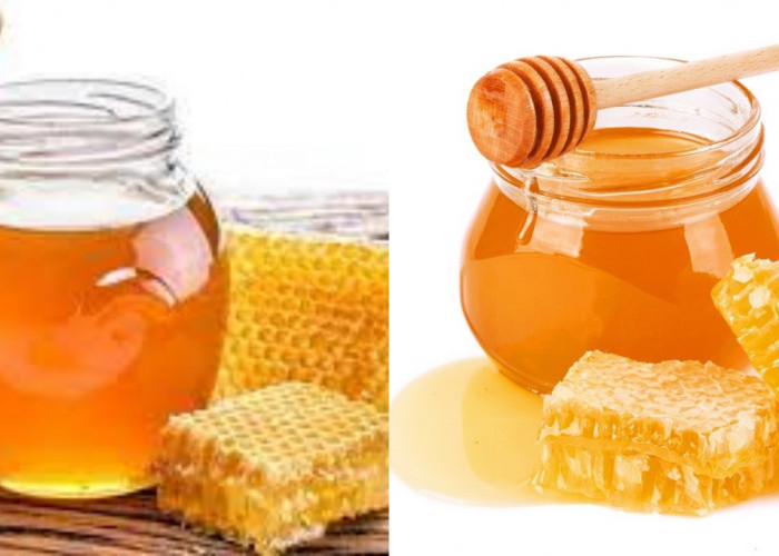 Inilah 7 Manfaat Minum Madu Setiap Hari yang Jarang Diketahui!