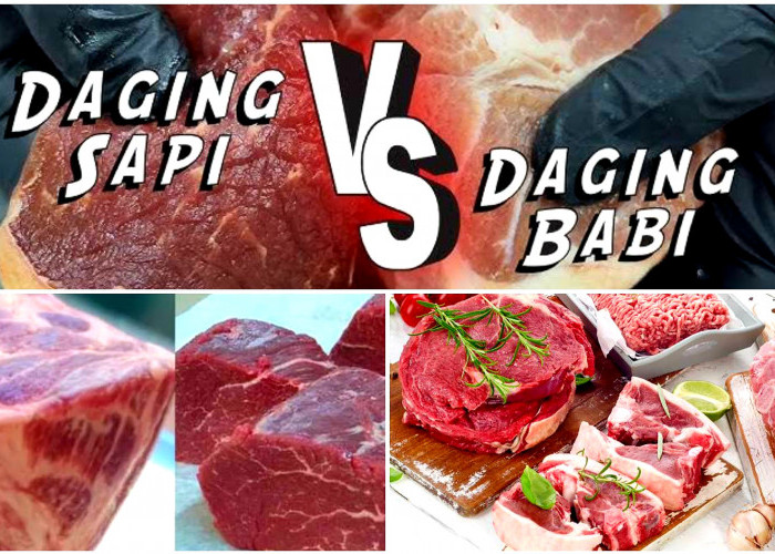 Awas Jangan Tertipu. Ini 5 Cara Bedakan Daging Sapi dan Daging Babi