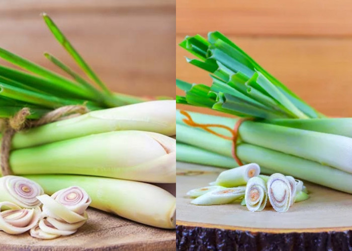 Beragam Manfaat Sereh Untuk Kesehatan Yang Jarang Diketahui! 