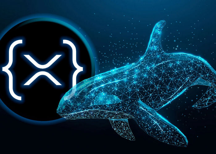 Aksi Jual Besar-Besaran Whale XRP Tekan Harga, Apa Dampaknya pada Penyelesaian Kasus Ripple dan SEC?