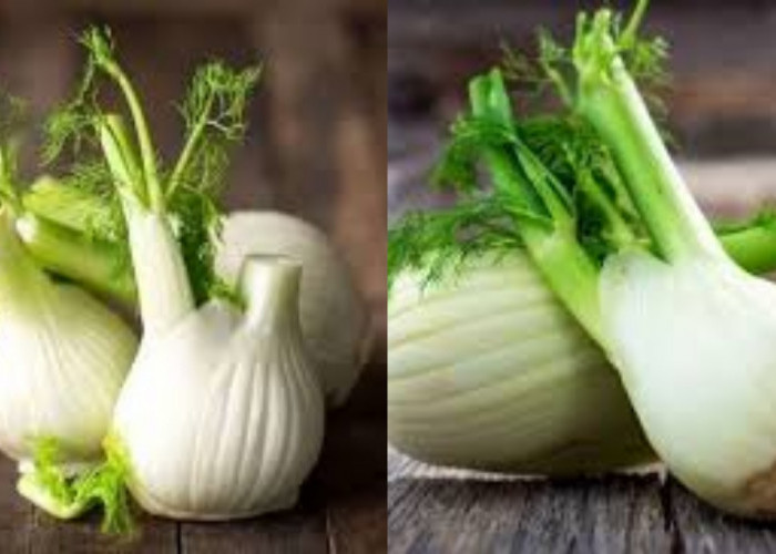 Inilah 6 Manfaat Adas Untuk Ibu Menyusui Yang Jarang Diketahui!