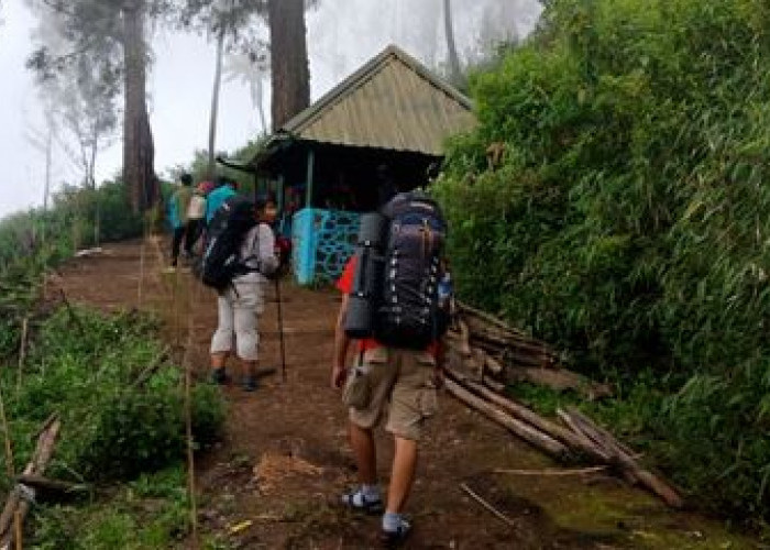 Sering Menghantui Pendaki, Inilah Gunung-gunung di Indonesia yang Menyimpan Cerita Mistis yang Bikin Merinding