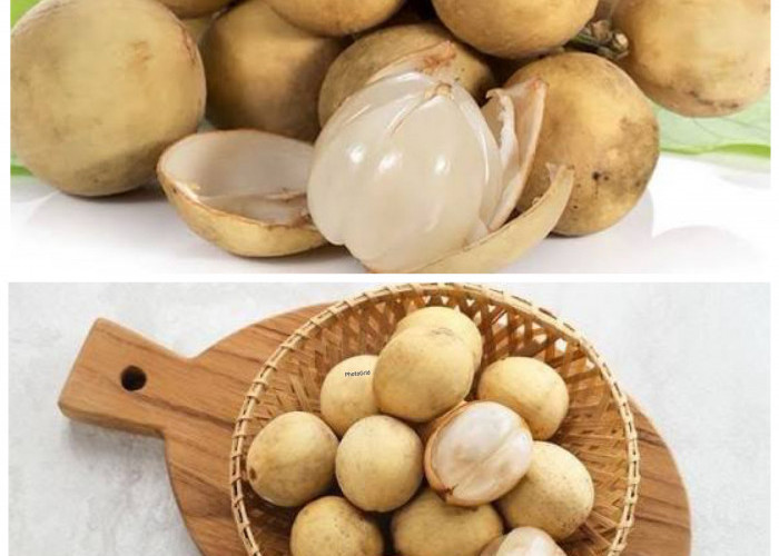 Jangan Remehkan Buah Duku, Ini Segudang Khasiatnya untuk Kesehatan!