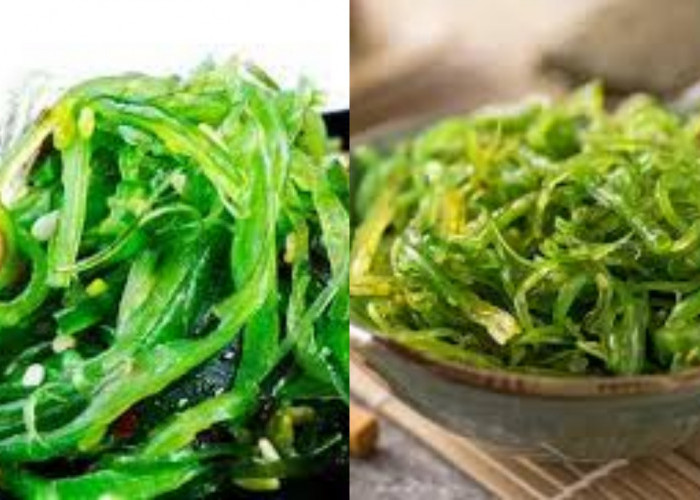 Manfaat Rumput Laut dan Kandungan Nutrisi di Dalamnya Yang Harus Kalian Tahu!