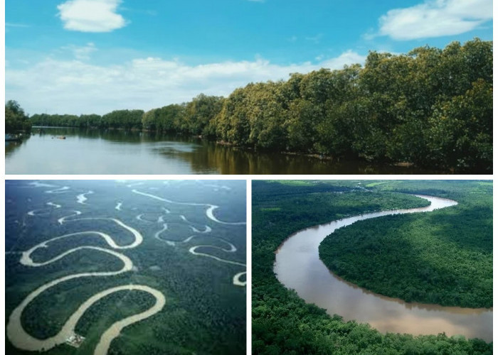 Sejarah Sungai Kapuas: Urat Nadi Kehidupan, Peradaban, dan Identitas Kalimantan Barat!