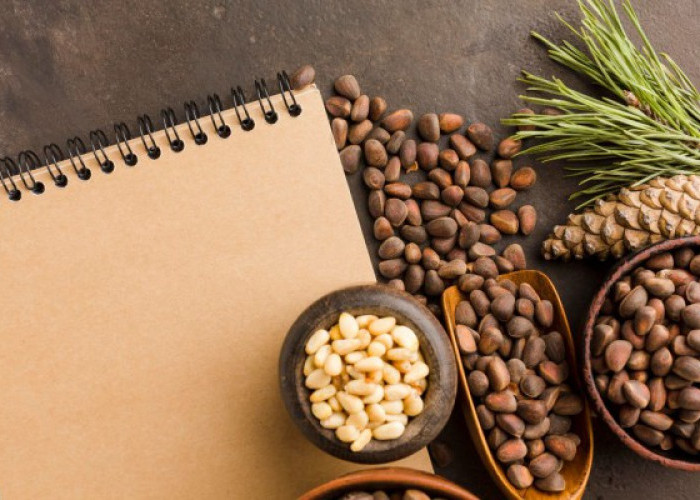 Si Kecil yang Kaya Nutrisi, Simak 5  Manfaat Kacang Pinus yang Bagus untuk Jaga Kesehatan