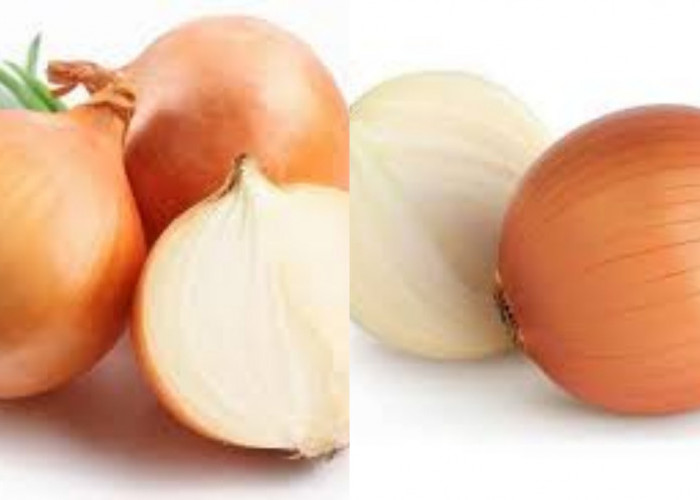 Bawang Bombai: Si Bulat Aromatik Penjaga Jantung dan Imun Tubuh 