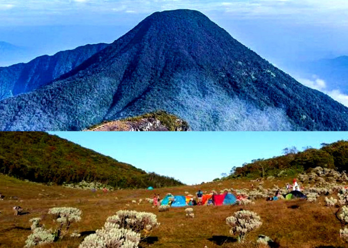 Kengerian Gunung Pangrango. Ternyata Ditunggu Sosok Ini. Simak Fakta Lainnya!