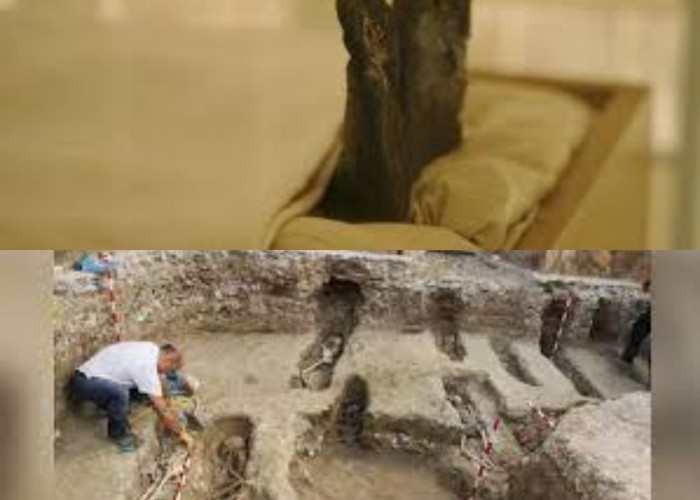 Para Arkeolog Dunia Dilarang Mengganggu Kuburan Kuno di Arab 