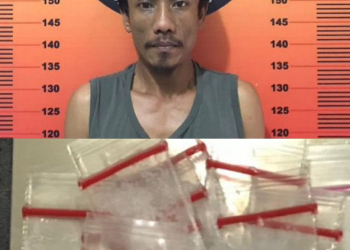 Kurir Ini Diringkus di Pos Resi Gudang, Diamankan 13 Paket Sabu