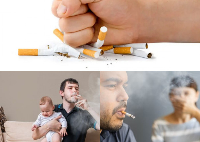  Ini yang Terjadi Jika Terlalu Sering Terkena Asap Rokok!