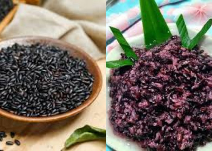 Tak Hanya Lezat, Teryata Ini 7 Manfaat Ketan Hitam Bagi Kesehatan Yang Harus Kalian Tahu!