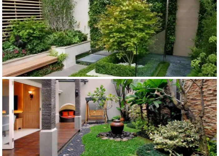 6 Trik Rahasia Ubah Lahan Sempit Jadi Taman Depan Rumah yang Super Adem dan Estetik!