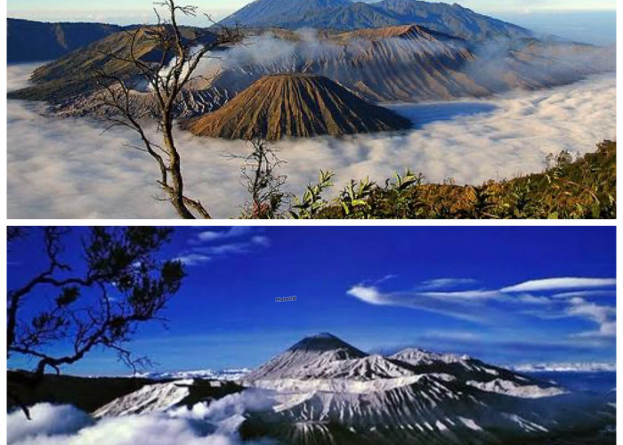 Menyibak Jejak Sejarah Gunung Jaya Wijaya, Puncak Tertinggi Indonesia yang Penuh Misteri!