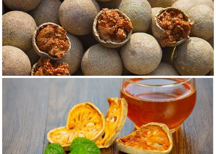 Mengenal Khasiat Buah Kawista: Buah Tradisional Kaya Nutrisi yang Baik untuk Tubuh