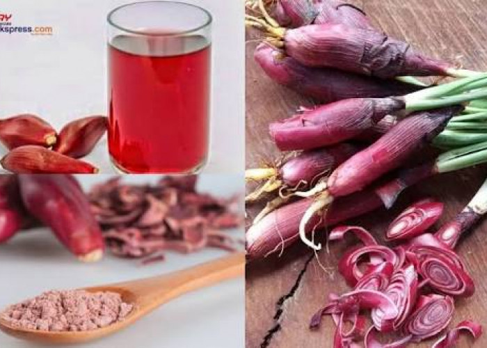 Dijuluki Tanaman Ajaib, Apa Saja Khasiat Bawang Dayak untuk Kesehatan Tubuh Luar Biasa?