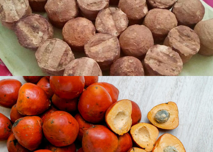 Buah Gambir, Pelajari 8 Manfaatnya bagi Kesehatan!