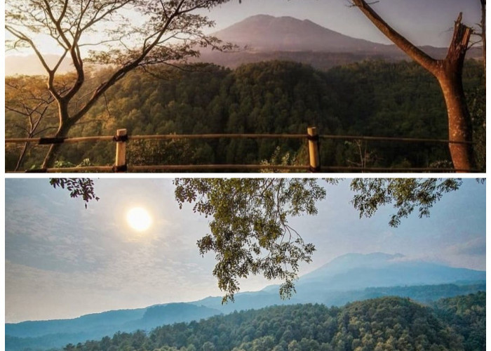 Menikmati Panorama Ciremai: Petualangan Seru di Gunung Ciwaru