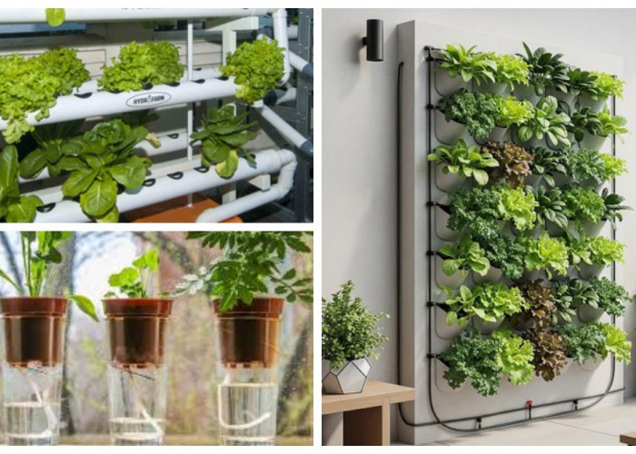 7 Model Kebun Buah Hemat Air: Solusi Efisien untuk Lahan Terbatas